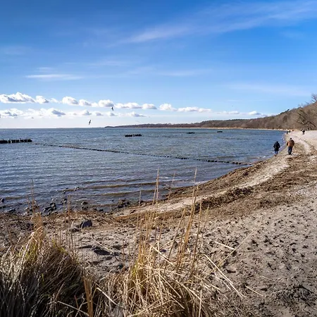 Haffhaeuser Am Stettiner Haff Haus 2 We 7 Golf Special Buchbar