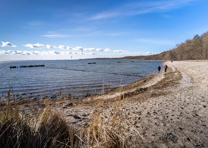 Haffhaeuser Am Stettiner Haff Haus 2 We 7 Golf Special Buchbar