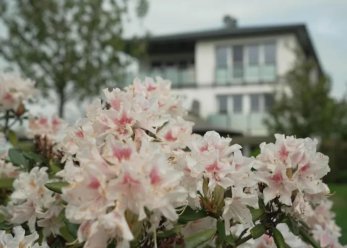 アパート Haffhaeuser Am Stettiner Haff Haus 2 We 7 Golf Special Buchbar Garz (Usedom)